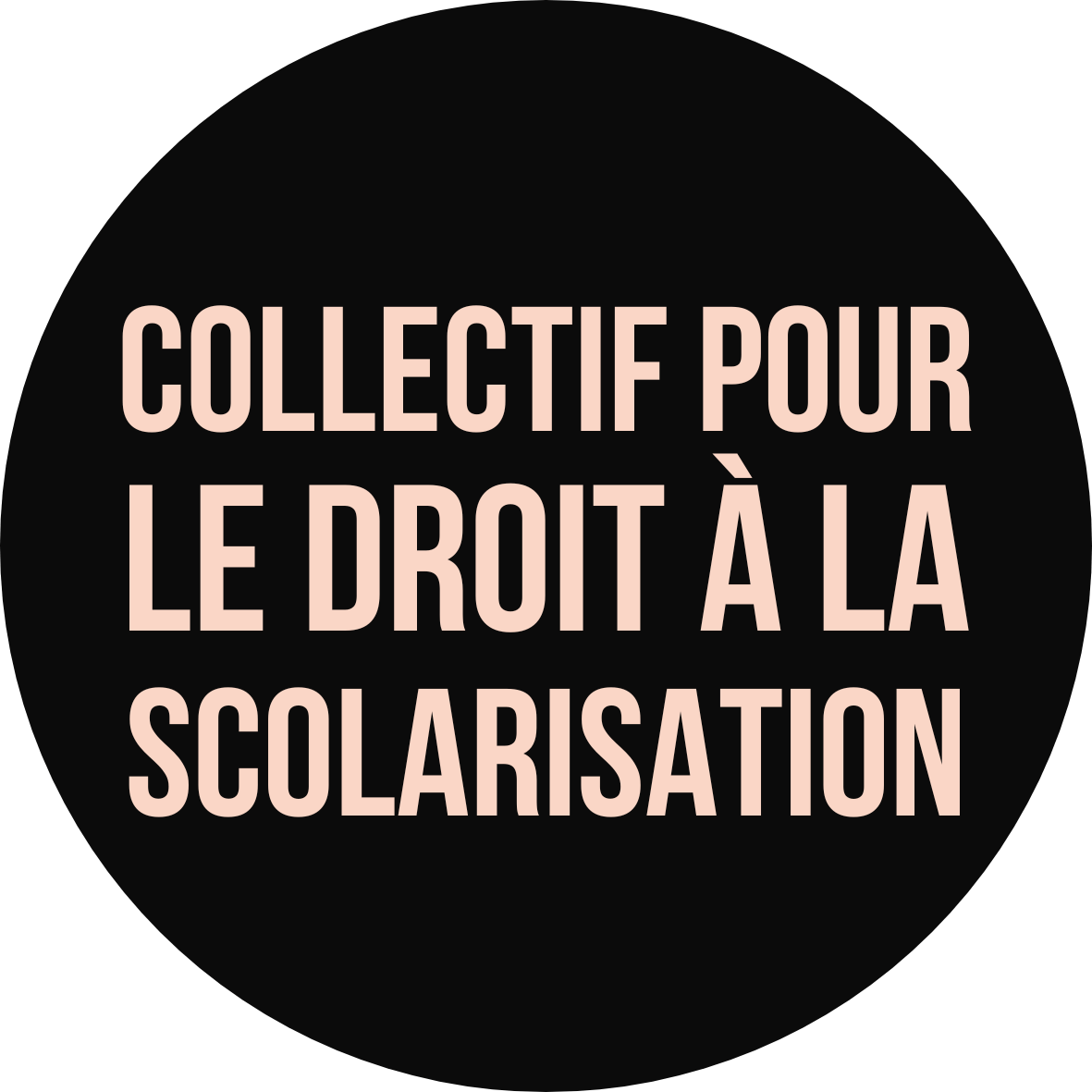 Collectif pour le droit à la scolarisation